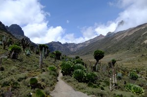 Mt Kenya