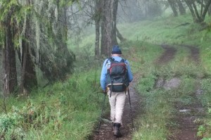 Hiking vs Trekking - are they different?
